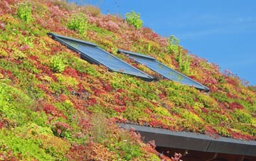 Asthall Leigh living roof systems