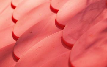 Asthall Leigh plastic roof costs