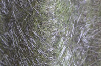 Asthall Leigh fibreglass roof work